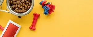 Dog Accessories