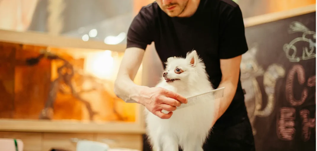 Pet Grooming Guide