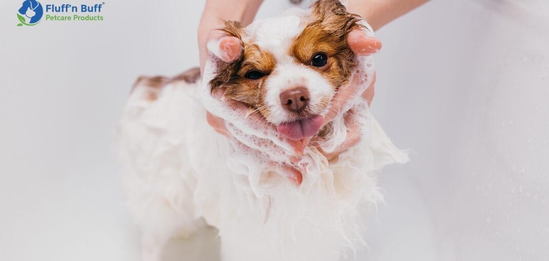 grooming mistakes