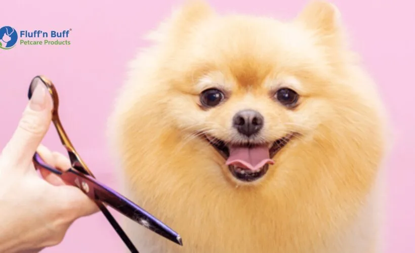 DIY Dog Grooming