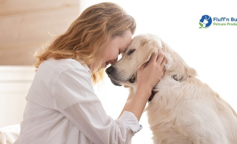 dog training commands