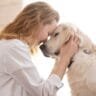 dog training commands